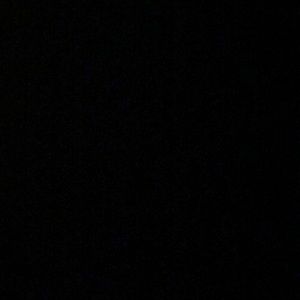 Meet your Posher, Tyson